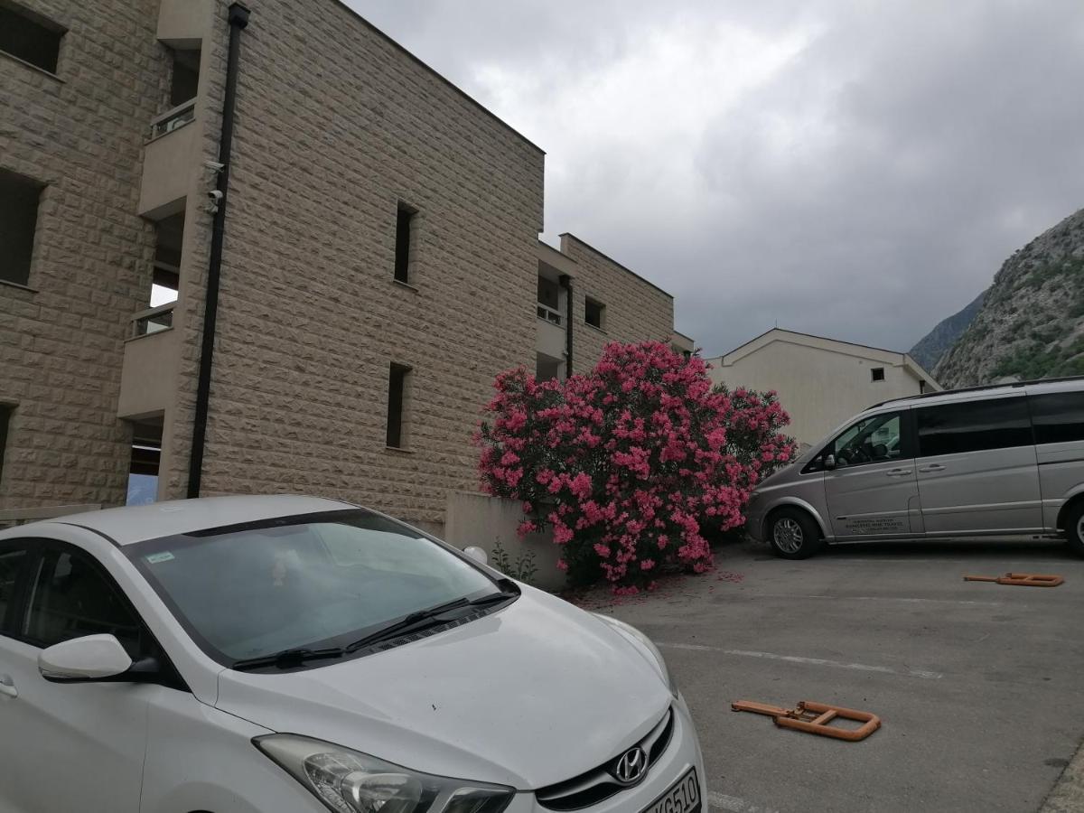 Villa Milla Kotor Zewnętrze zdjęcie